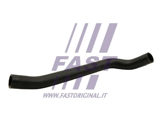 Radiator Hose (FT61123)