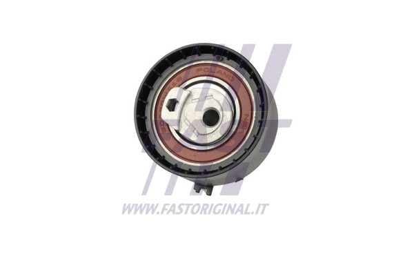 Timing Belt