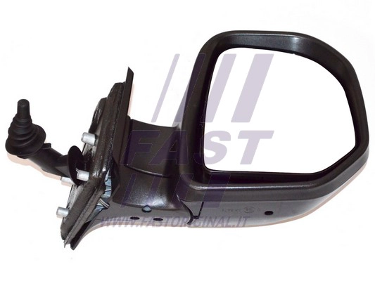 Exterior Mirror (FT88333)