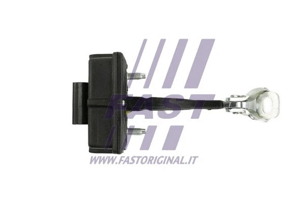 Door Check (FT95644)