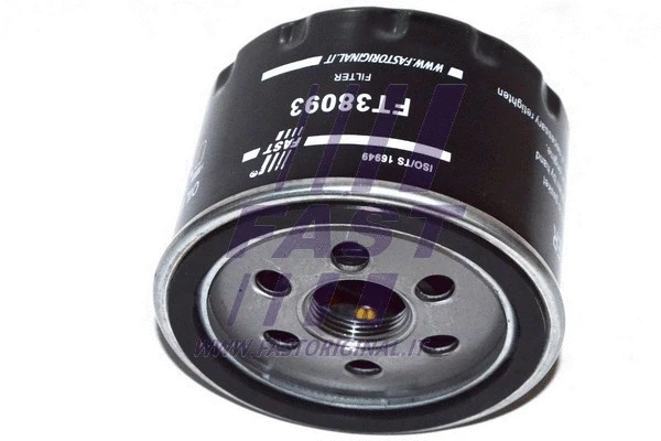 Oil Filter (FT38093)