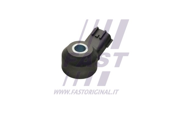 Knock Sensor (FT75302)