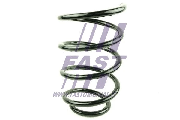 Suspension Spring (FT12284)