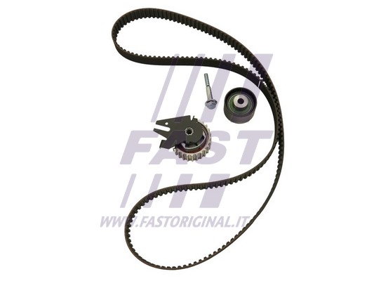 Timing Belt