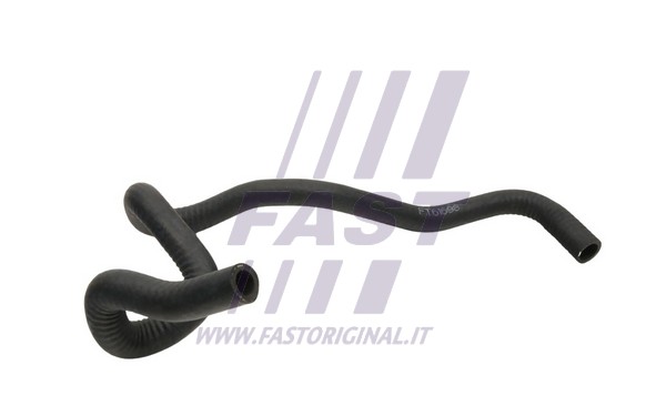Radiator Hose (FT61698)