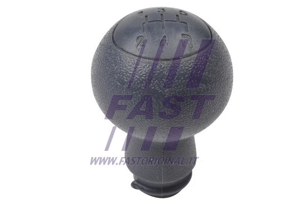 Gear Shift Lever Knob (FT73205)