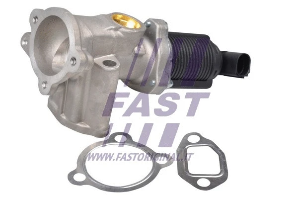 EGR Valve (FT60228)