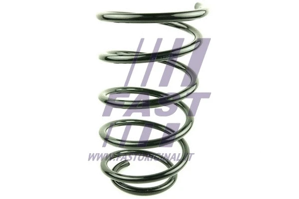 Suspension Spring (FT12283)