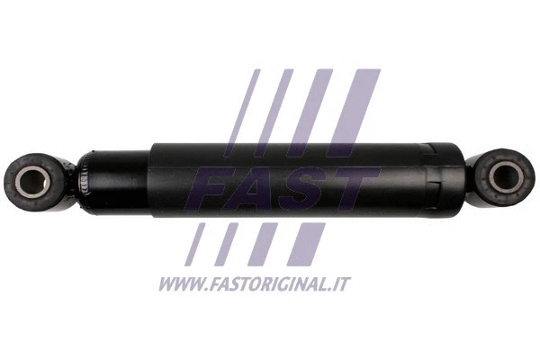 Shock Absorber (FT11273)