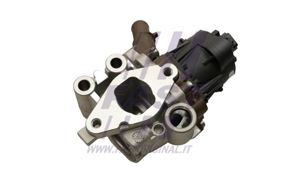 EGR Valve (FT60248)