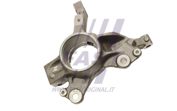 Steering Knuckle, wheel suspension (FT13556)