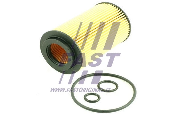 Oil Filter (FT38013)