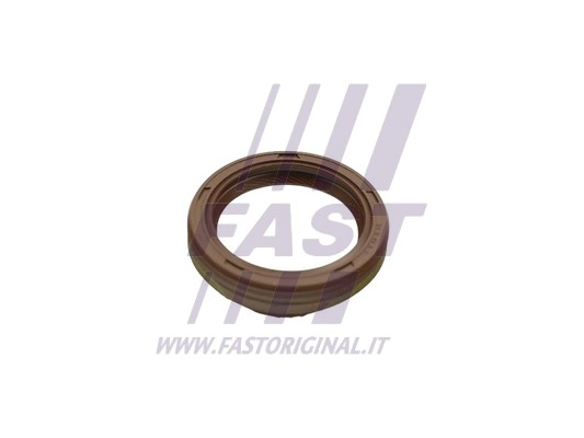 Shaft Seal, crankshaft (FT49859)