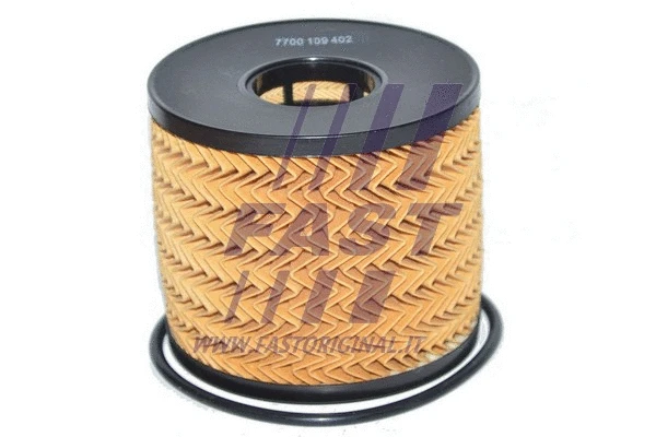 Oil Filter (FT38078)