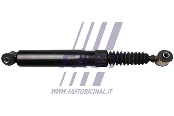 Shock Absorber (FT11174)