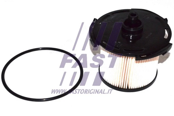 Fuel Filter (FT39088)