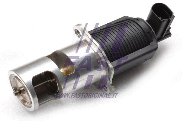 EGR Valve (FT60213)