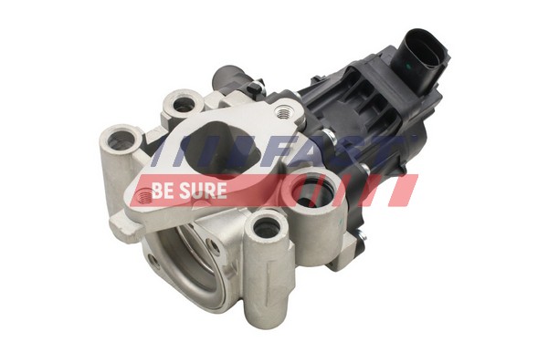 EGR Valve (FT60202)