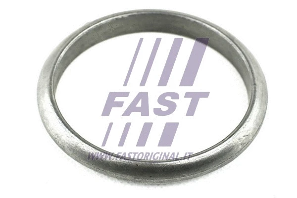 Gasket, exhaust pipe (FT84574)