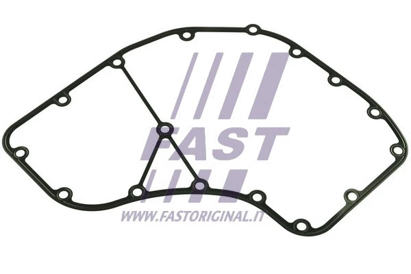 Gasket, timing case (FT49064)