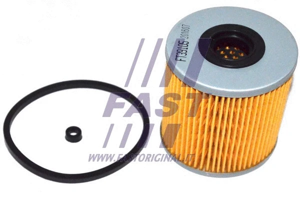 Fuel Filter (FT39105)