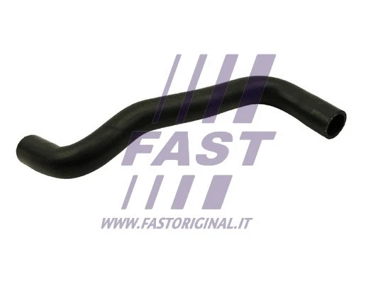 Radiator Hose (FT61080)