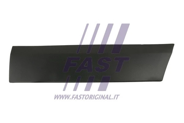 Trim/Protection Strip, door (FT90835)