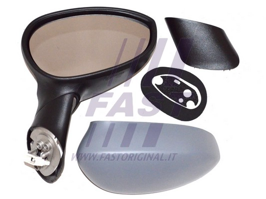 Exterior Mirror (FT88281)