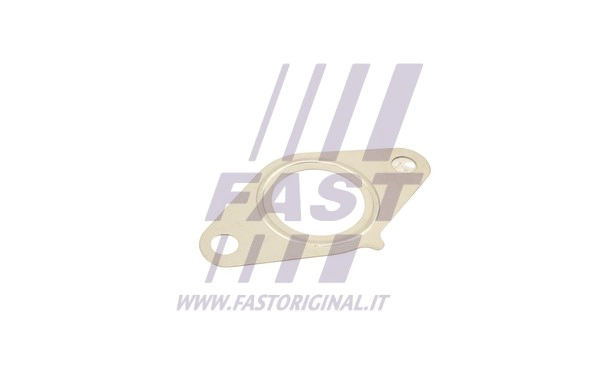 Gasket, EGR valve (FT50616)