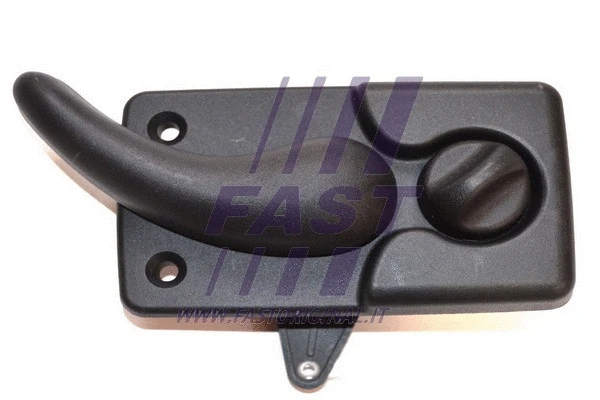 Exterior Door Handle (FT94573)