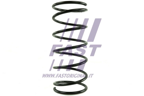 Suspension Spring (FT12289)