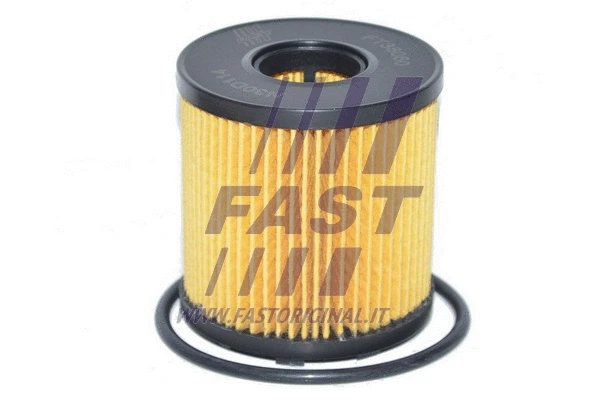 Oil Filter (FT38060)