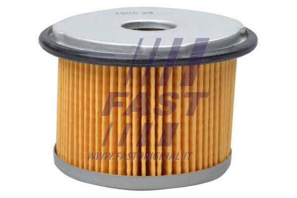 Fuel Filter (FT39026)