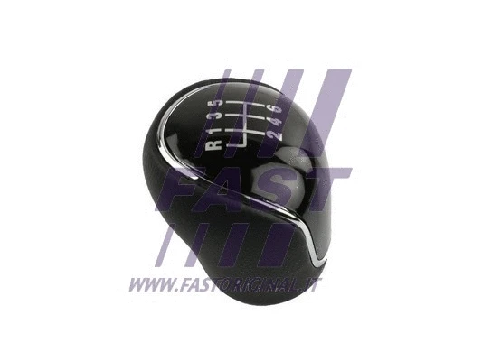 Gear Shift Lever Knob (FT09041)
