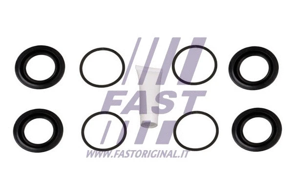 Repair Kit, brake caliper (FT32205)