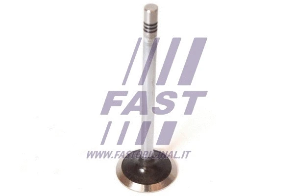 Exhaust Valve (FT50068)