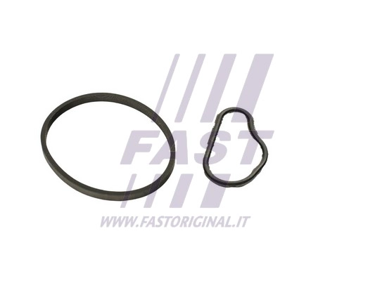 Gasket, vacuum pump (FT48943)