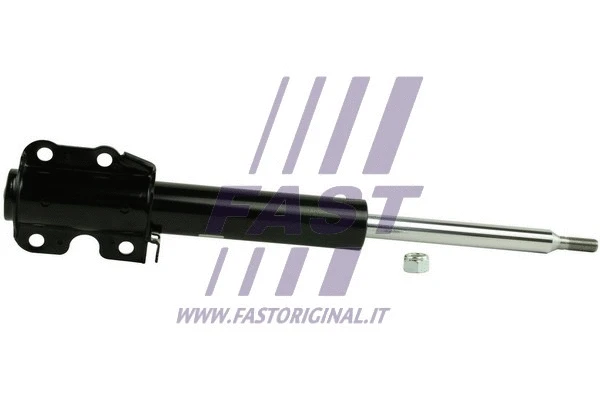 Shock Absorber (FT11521)