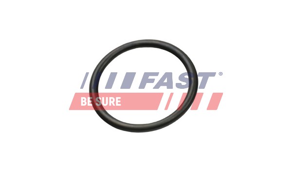 Gasket, coolant pipe (FT49927)