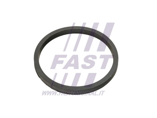 Seal Ring, oil cooler