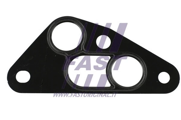 Gasket, oil cooler (FT49913)
