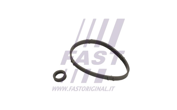 Gasket, oil cooler (FT48952)