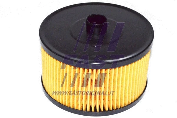 Fuel Filter (FT39076)