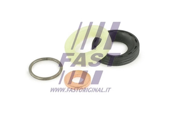 Seal Kit, injector nozzle (FT49842)