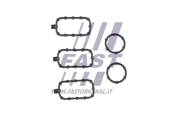 Gasket Set, cylinder head cover (FT49001)