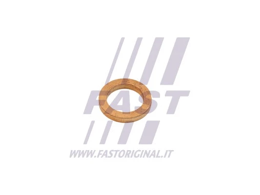 Seal, turbine inlet (charger) (FT48802)