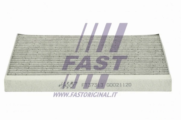 Filter, cabin air (FT37313)