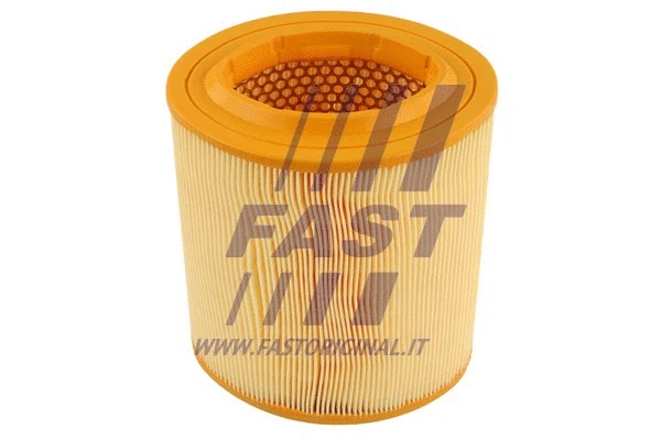 Air Filter (FT37101)