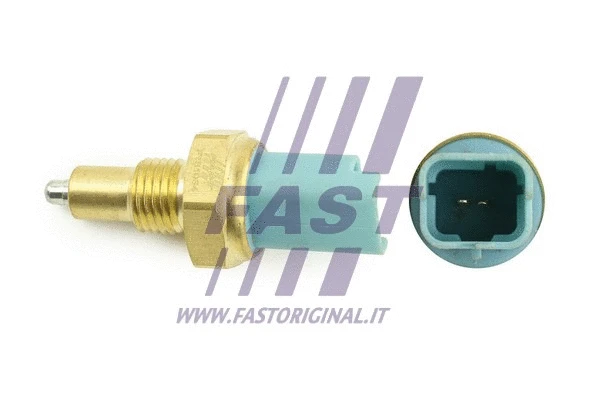 Switch, reverse light (FT81034)