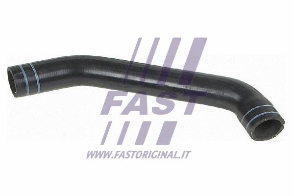 Radiator Hose (FT61386)